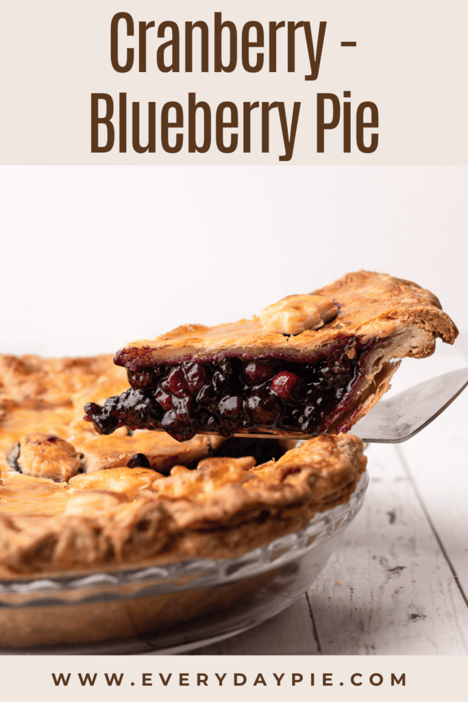 A baked blueberry cranberry pie.