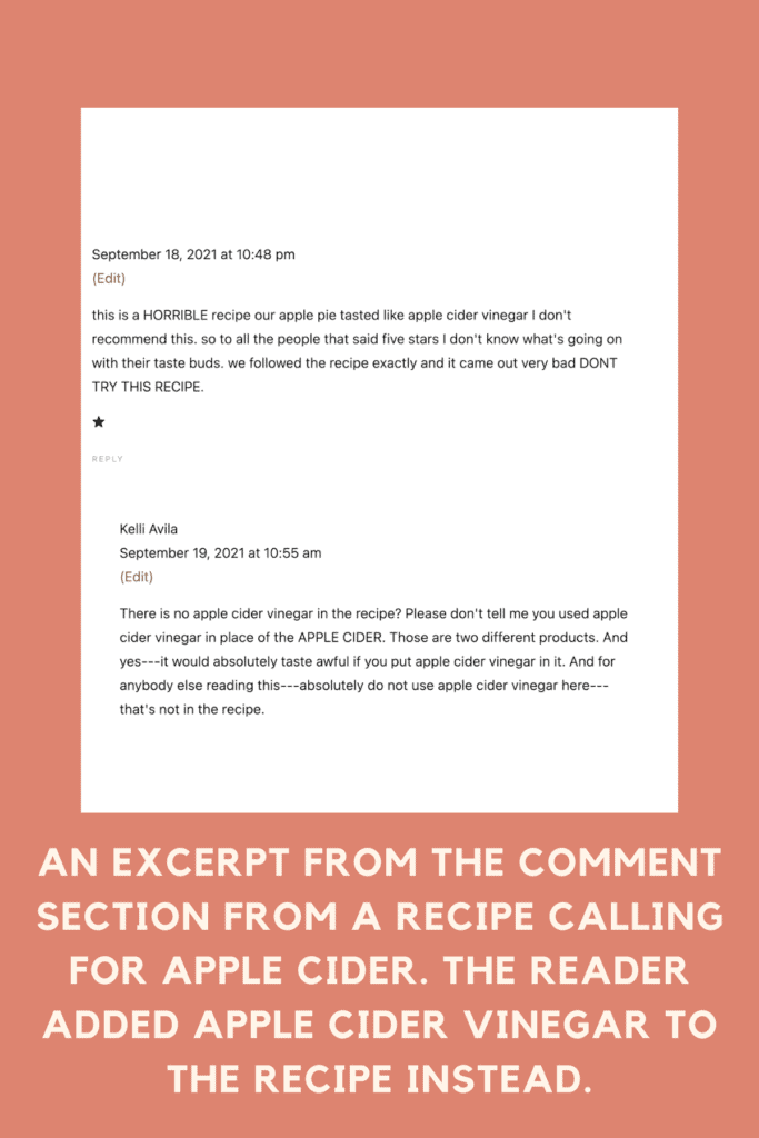 A screenshot from the comment section where a reader used apple cider vinegar in a recipe that called for apple cider.