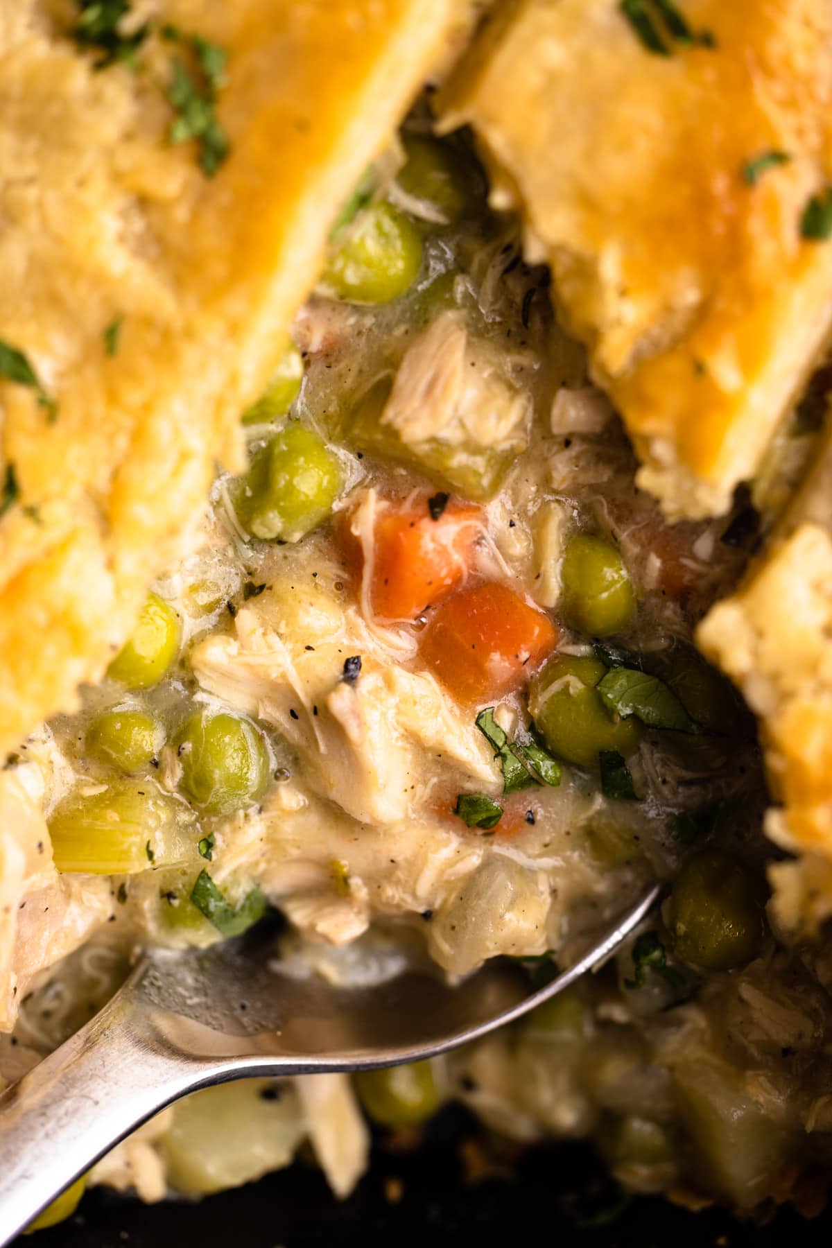 A sliced chicken pot pie revealing a delicious looking filling.