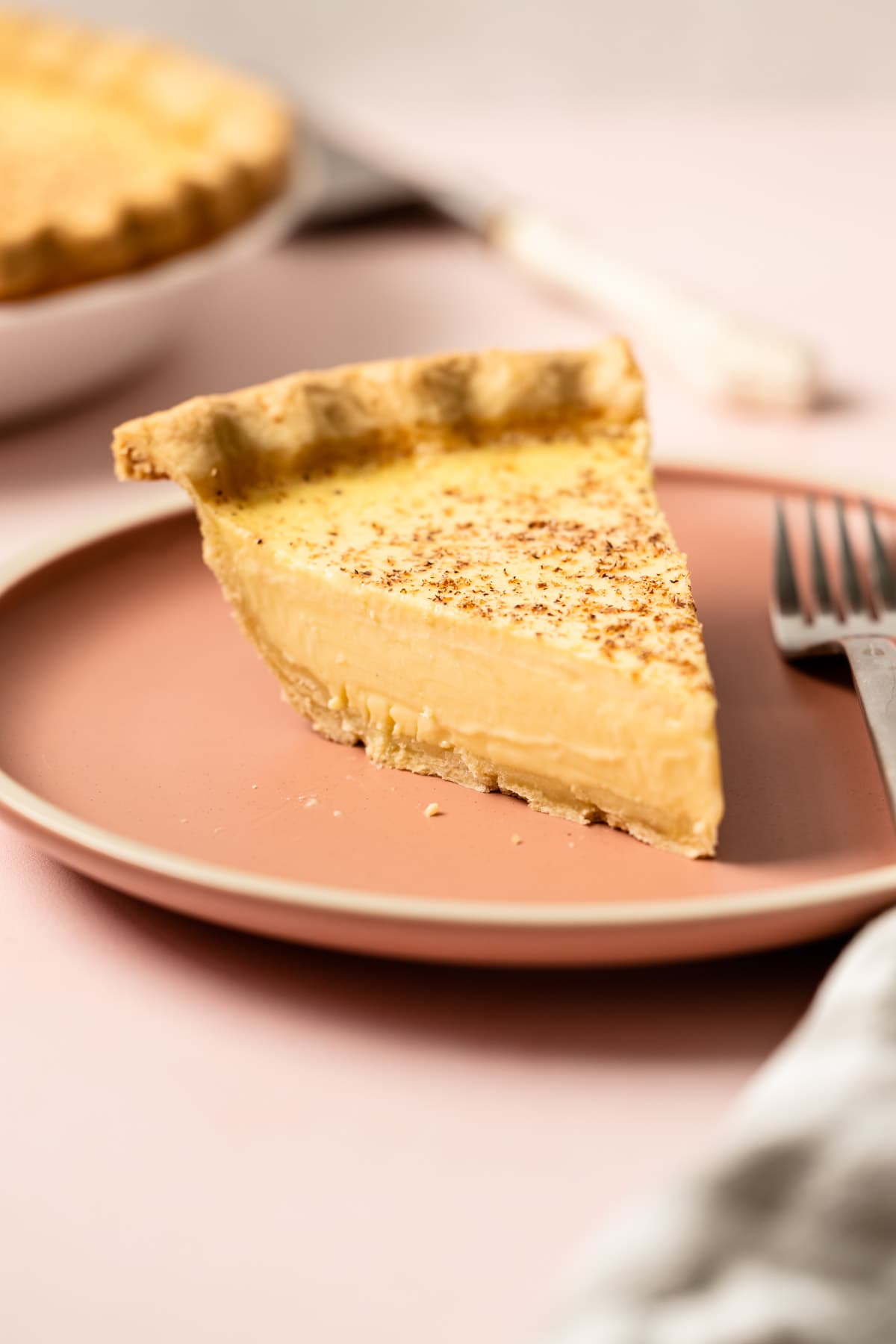 A slice of classic custard pie on a pink plate.