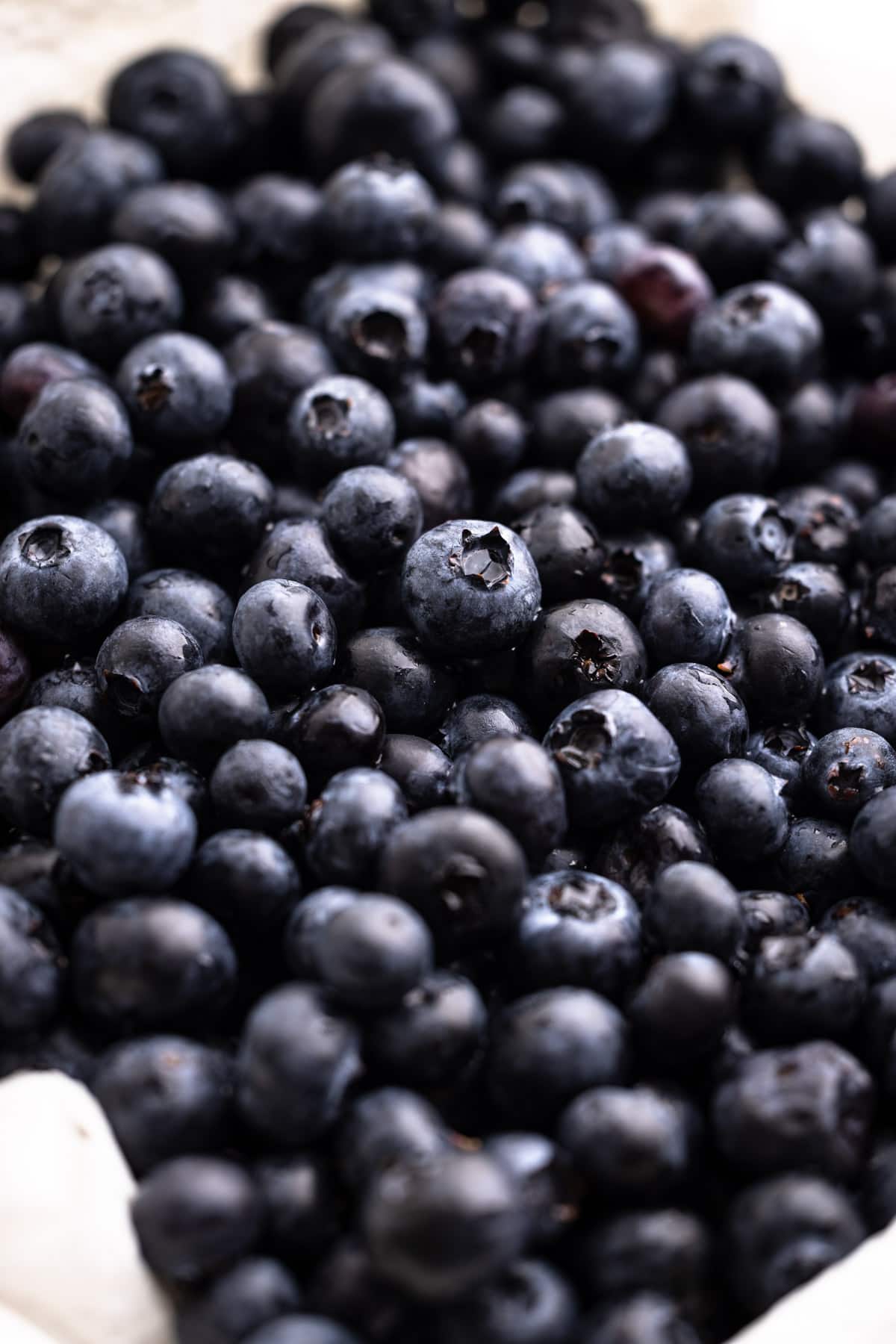 Fresh blueberries in a bowl.