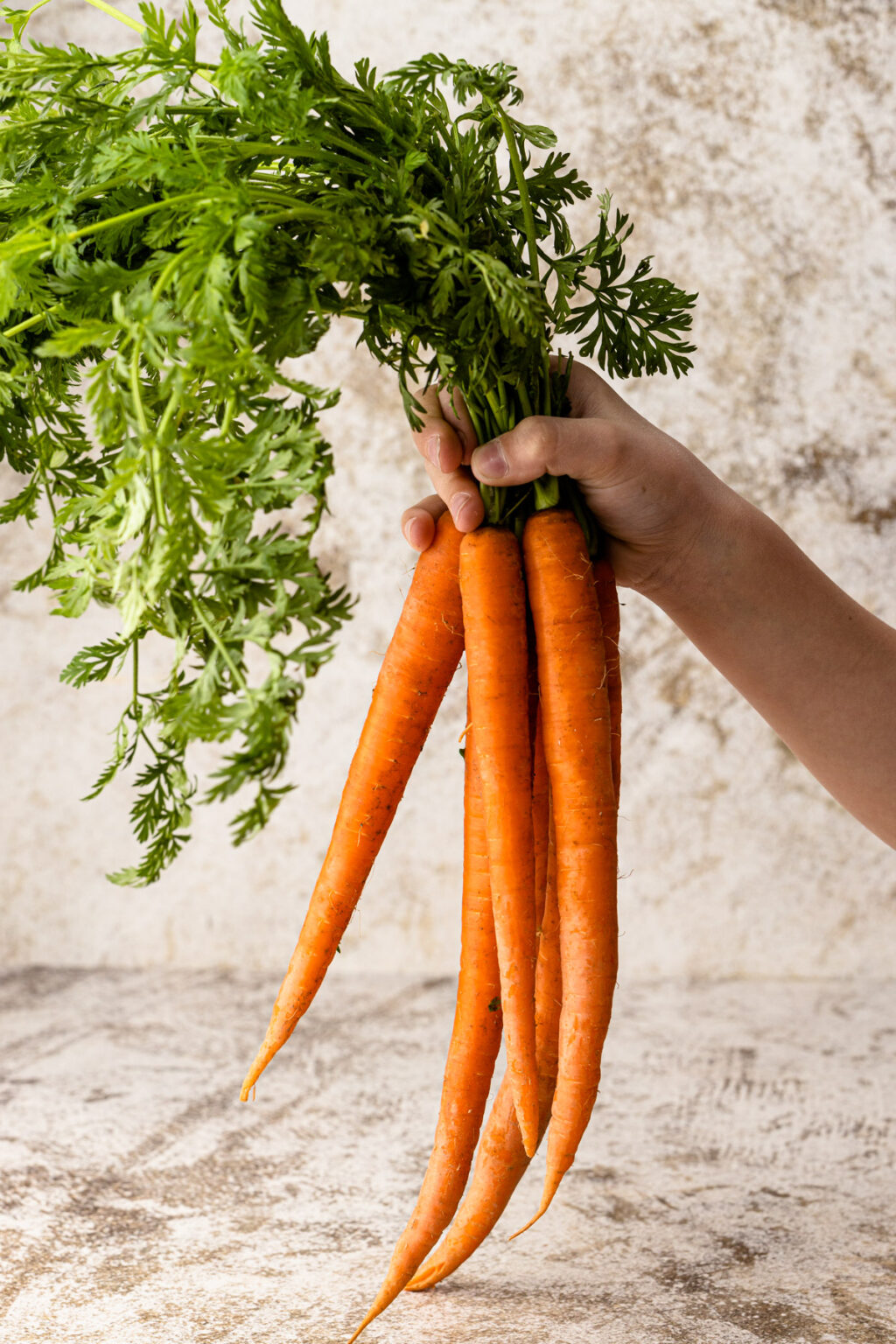 Honey Carrot Pie - Everyday Pie