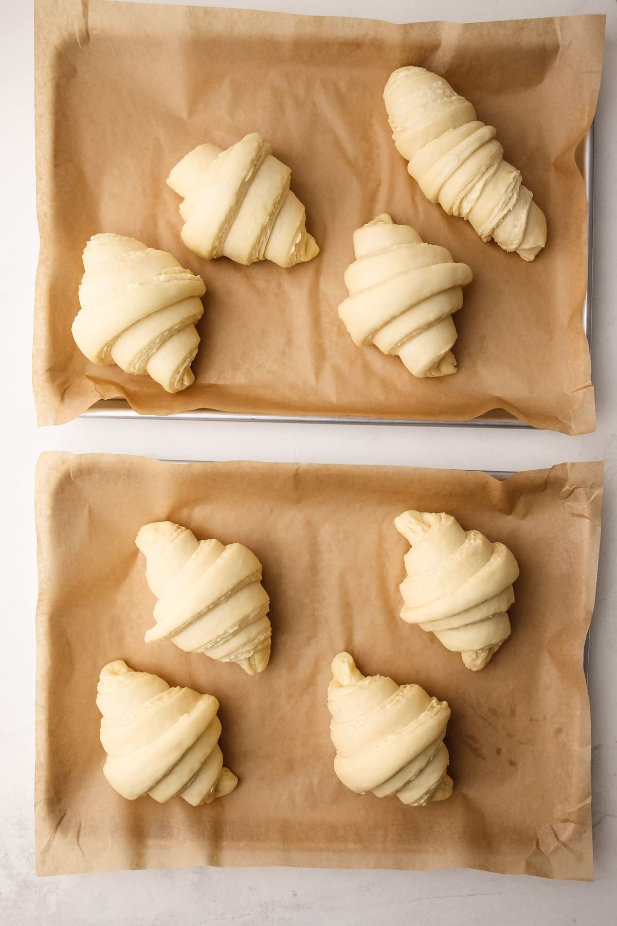 Fully proofed easy croissants.