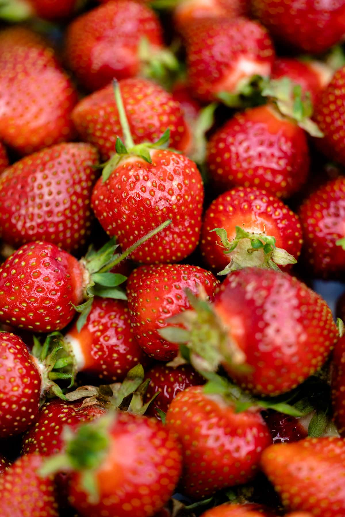 A bunch of strawberries.