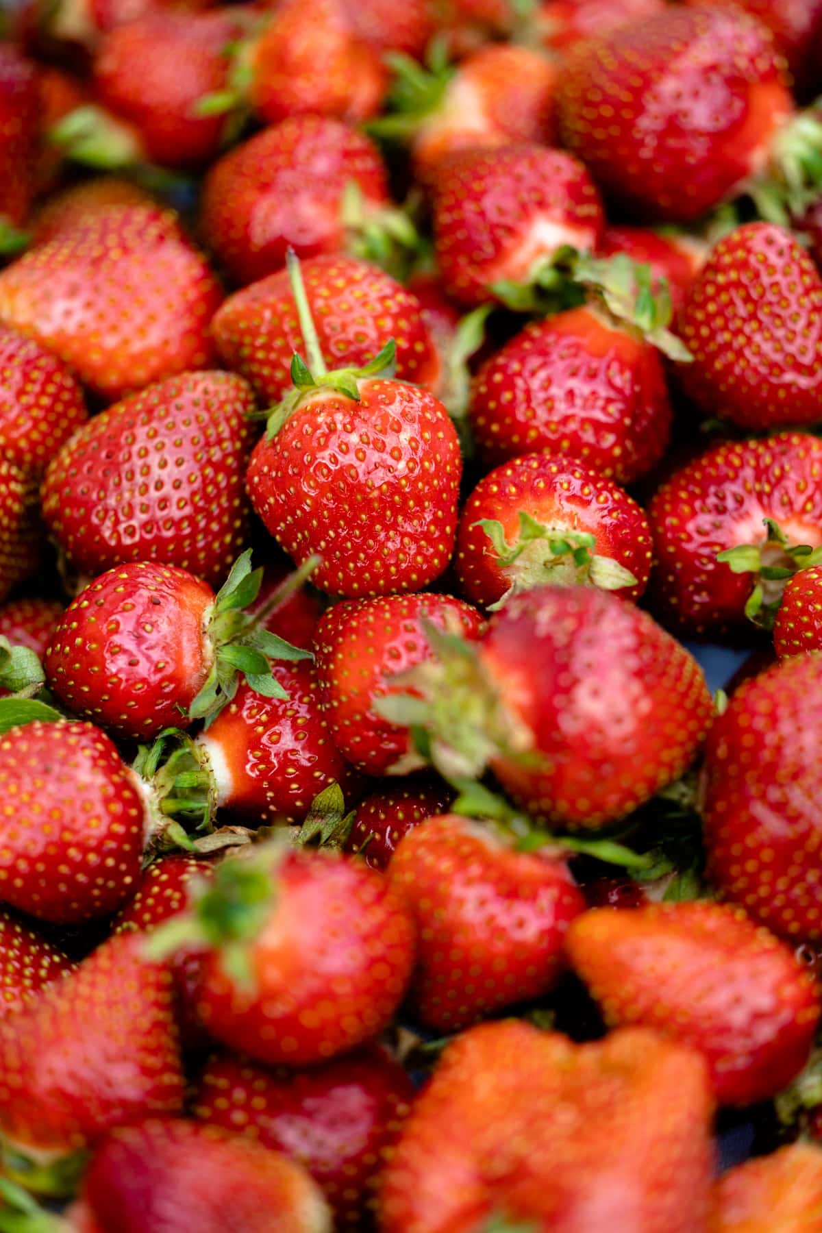 A pile of fresh strawberries.