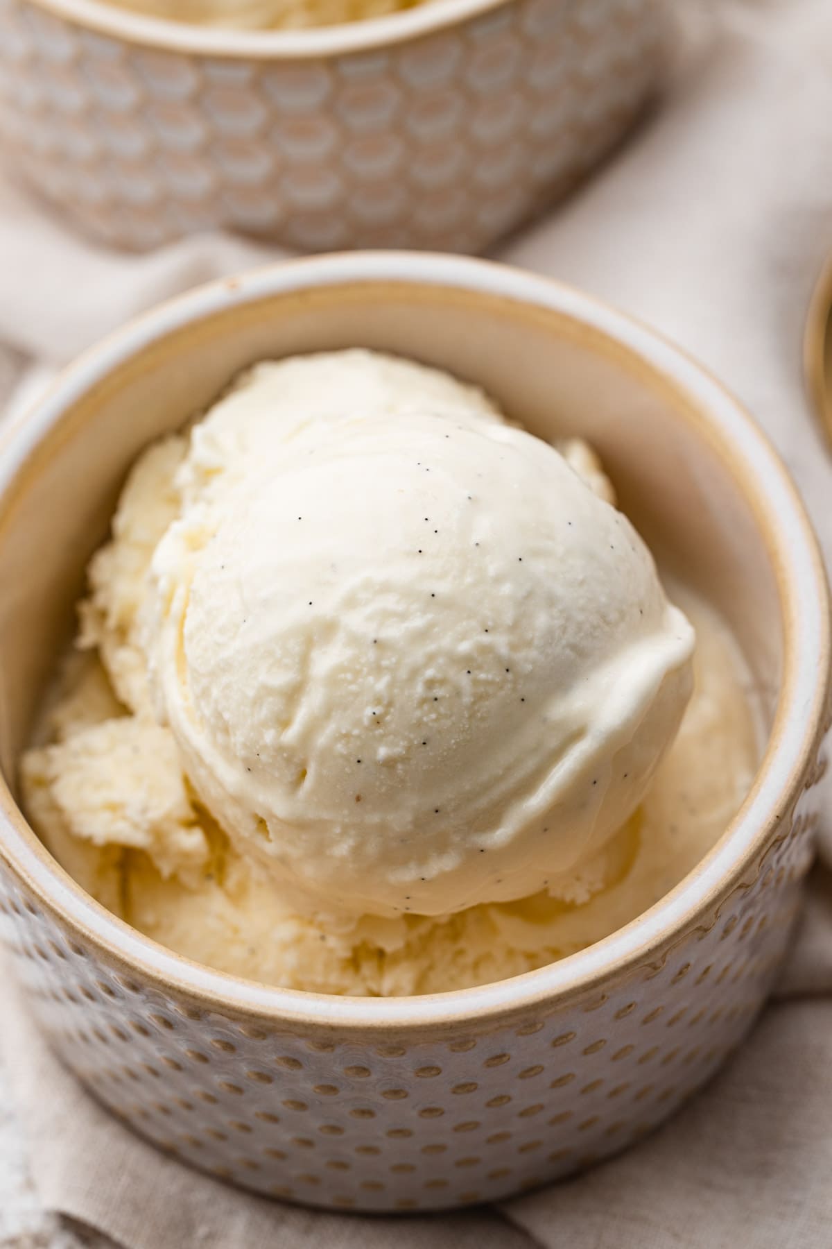 A scoop of vanilla bean ice cream.