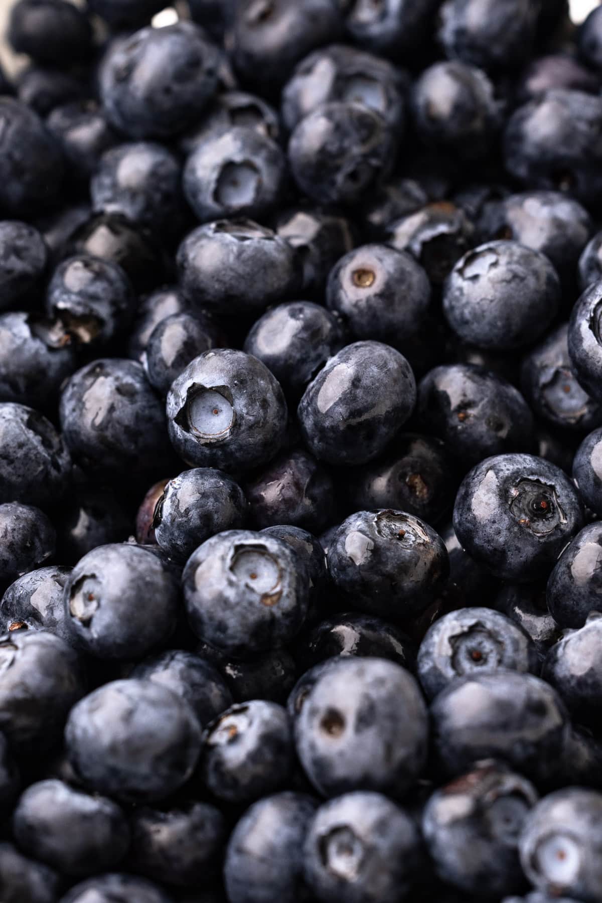 Blueberries.