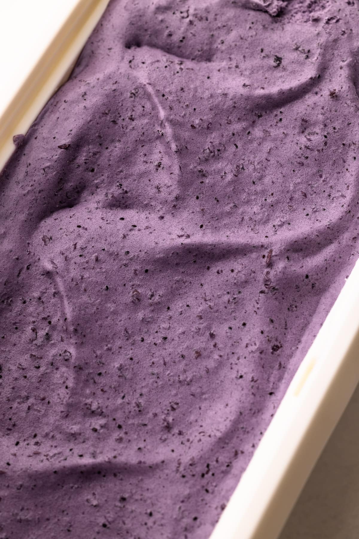 Blueberry ice cream in a white storage container.