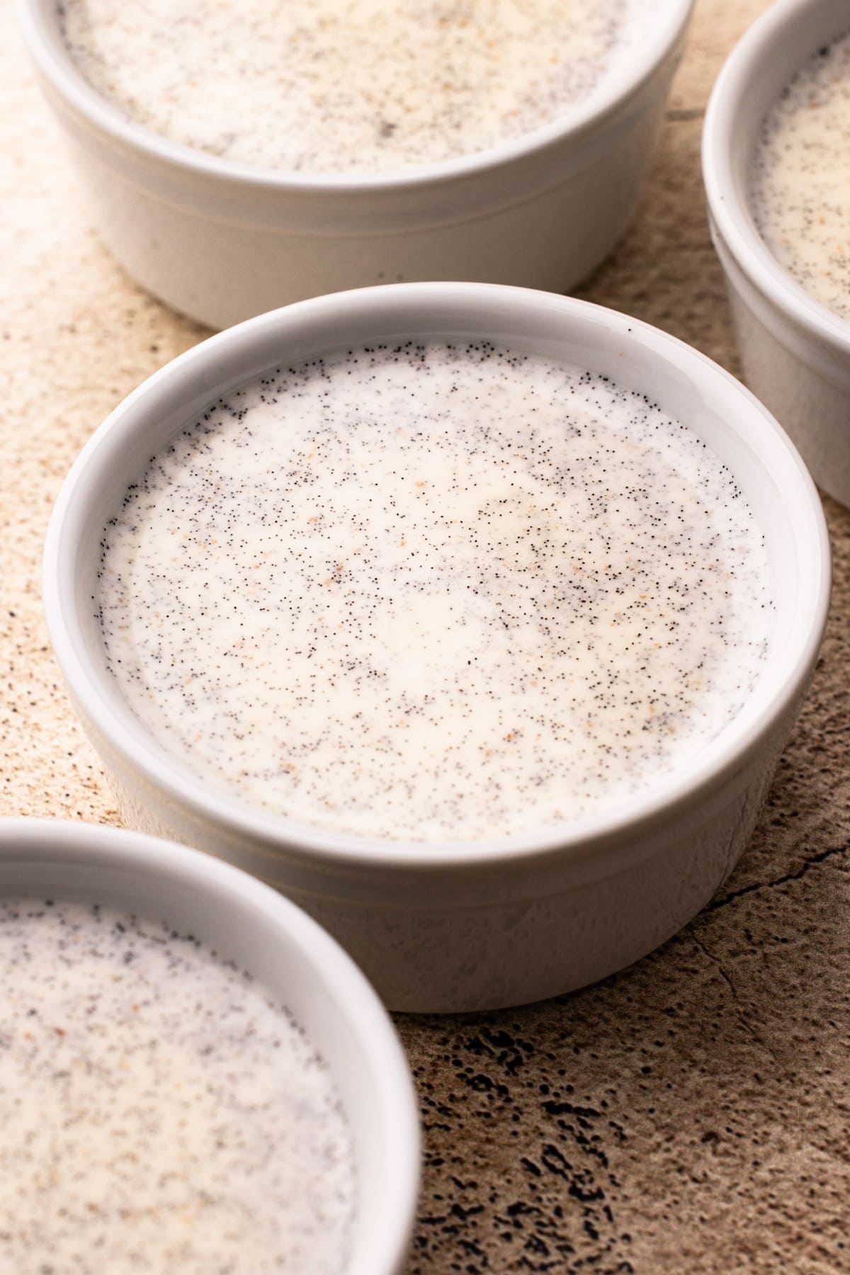 Vanilla bean panna cotta set in a ramekin before being removed from the container.