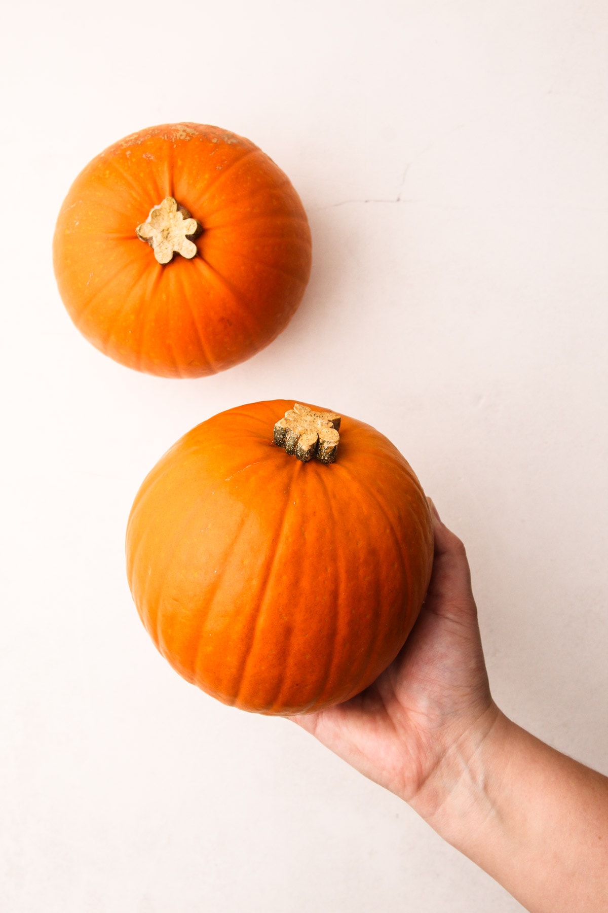 Two sugar pumpkins that are good for roasting.
