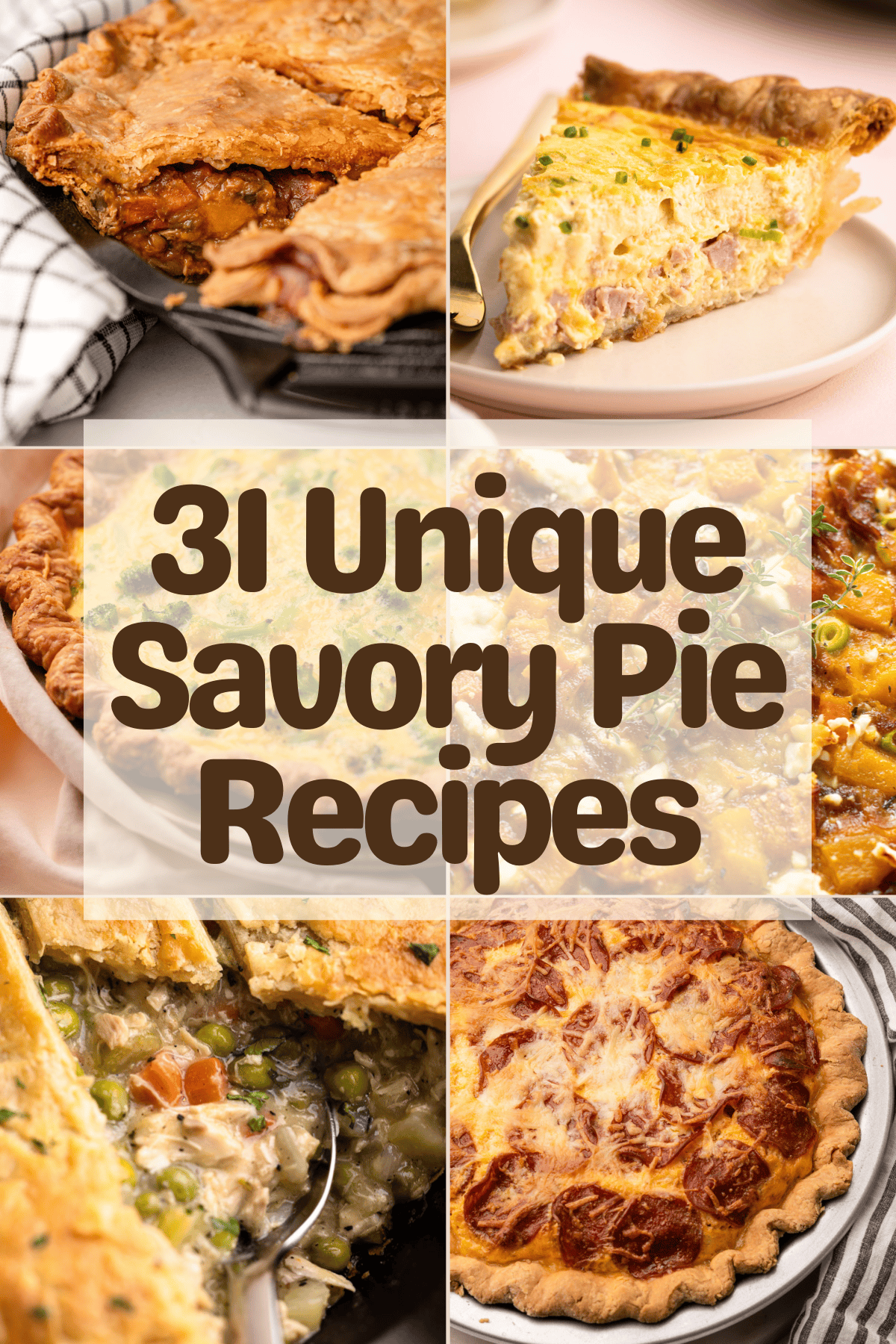 6 different unique savory pies.