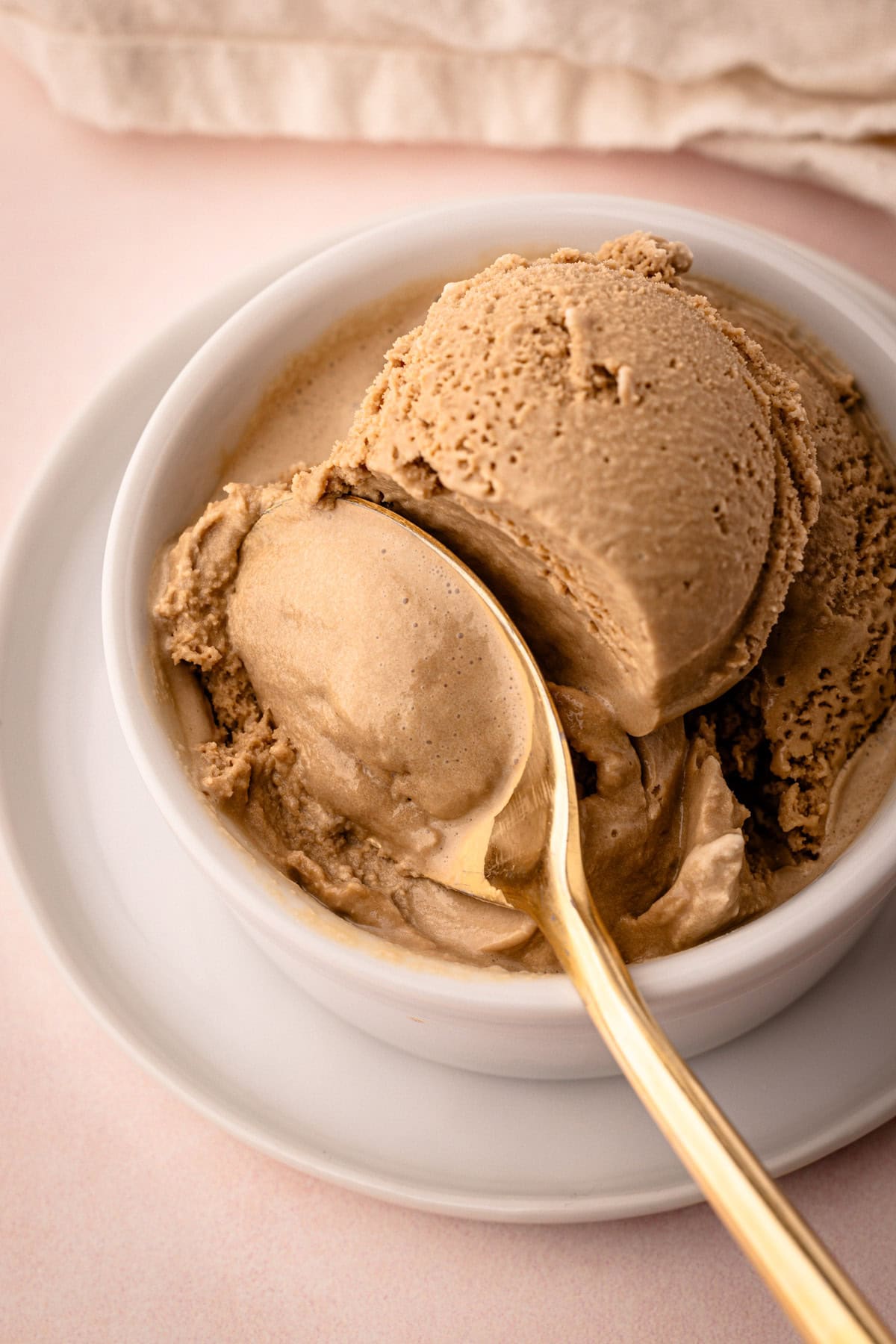 A serving of homemade coffee ice cream.