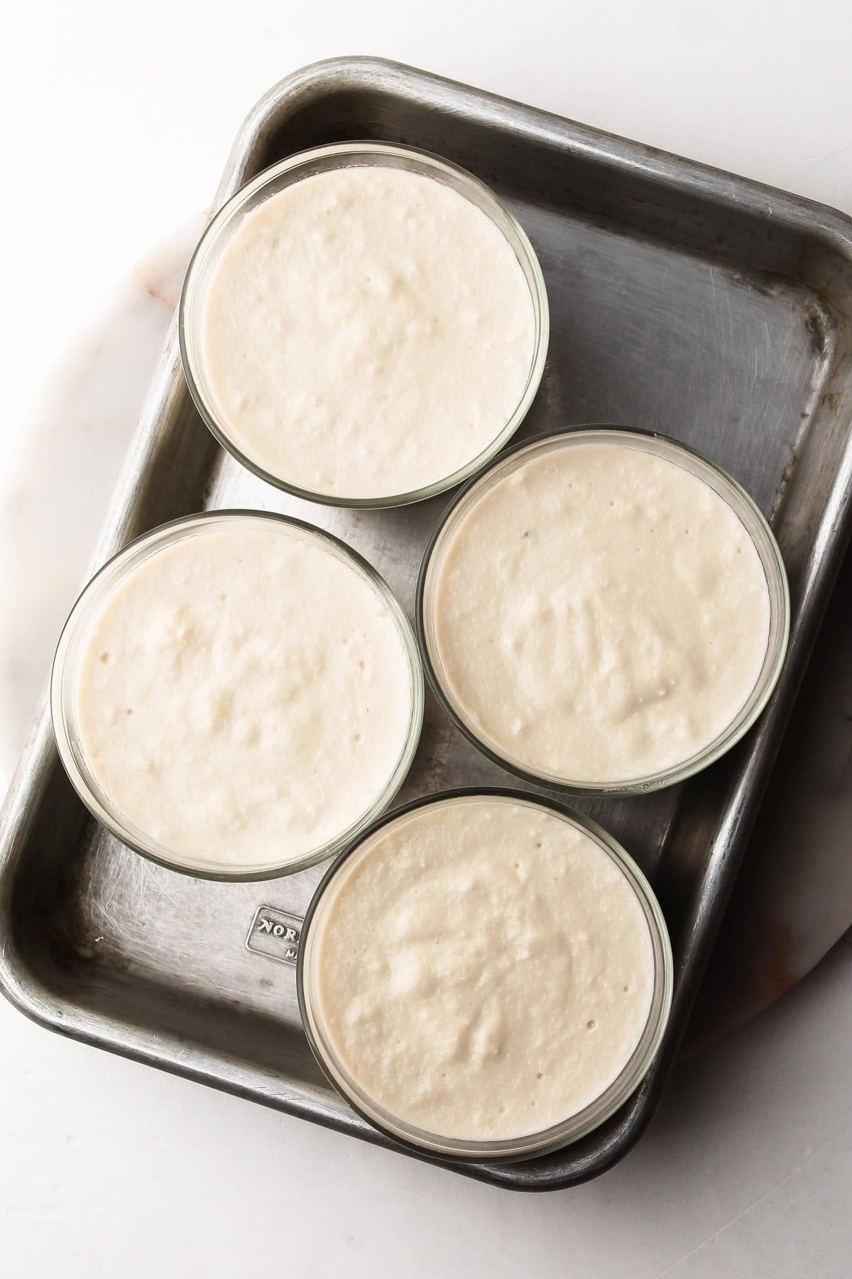 Four ramekins filled with set coconut pudding with coconut milk, ready to be garnished.