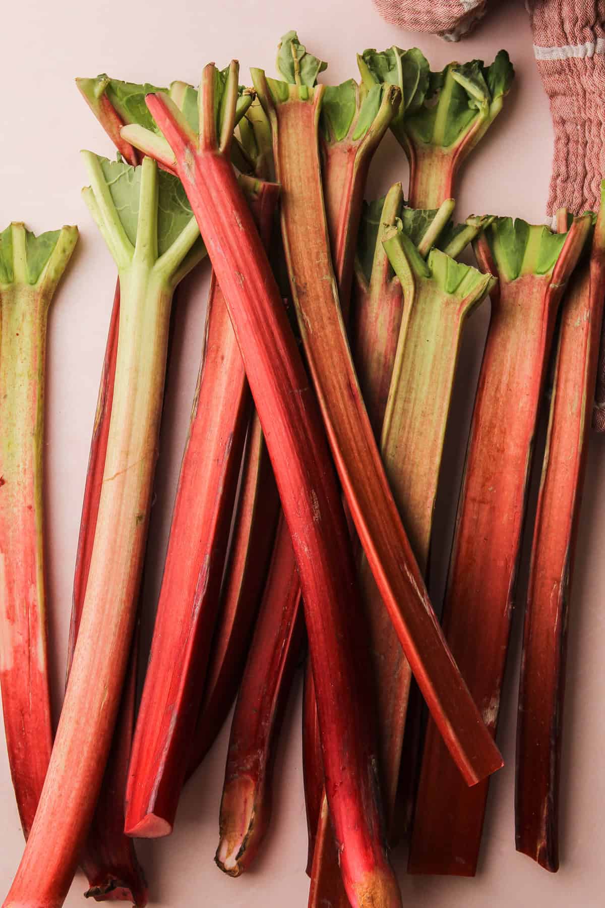 Stalks of rhubarb.