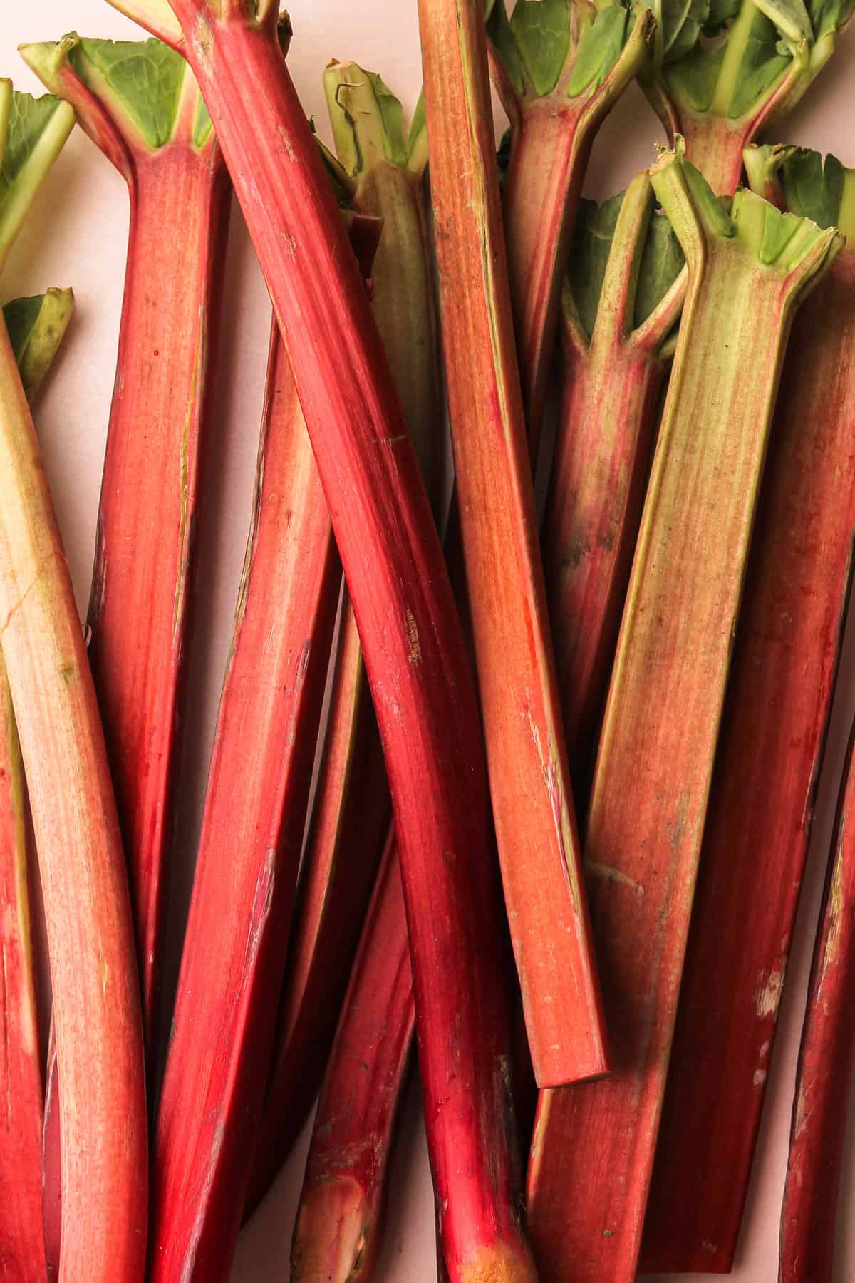 Stalks of rhubarb.