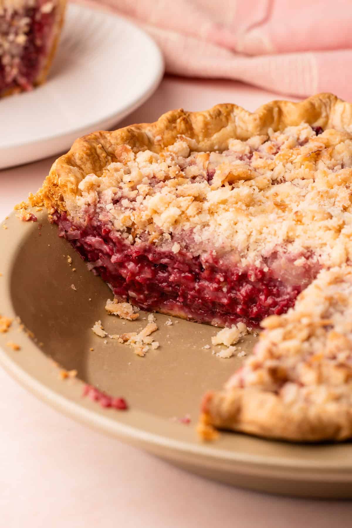 A baked raspberry coconut pie.