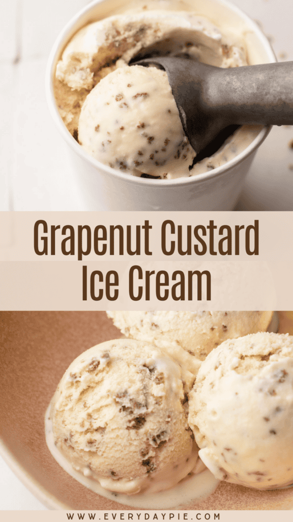A bowl of homemade grapenut ice cream.