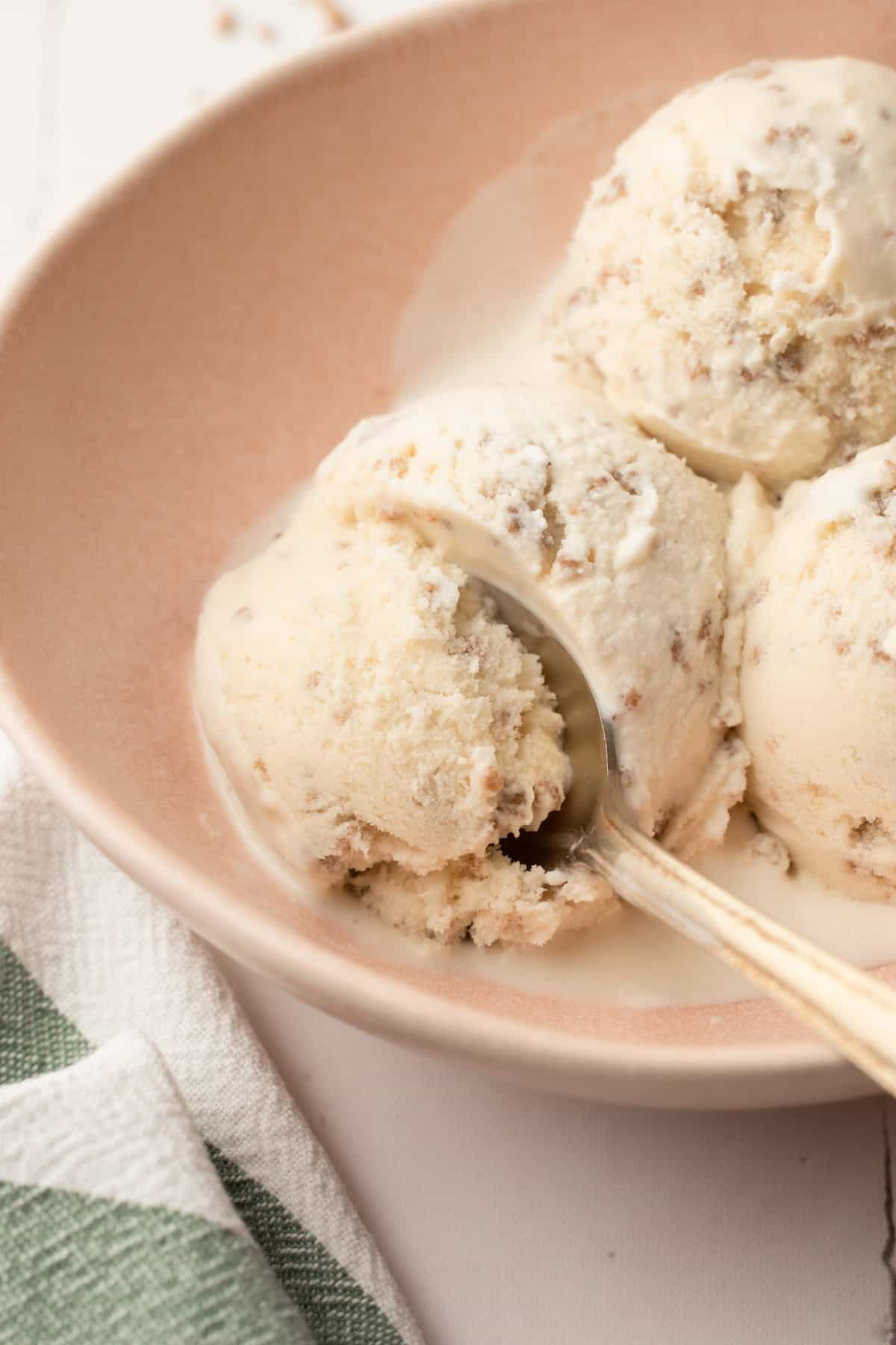 A bowl of homemade grapenut ice cream.