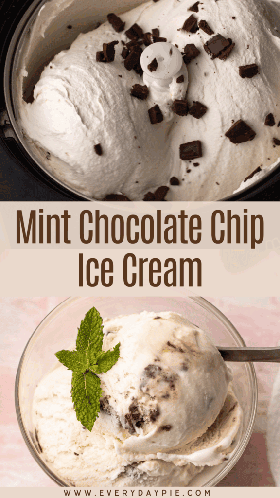 A serving of mint ice cream with homemade chocolate chunks.