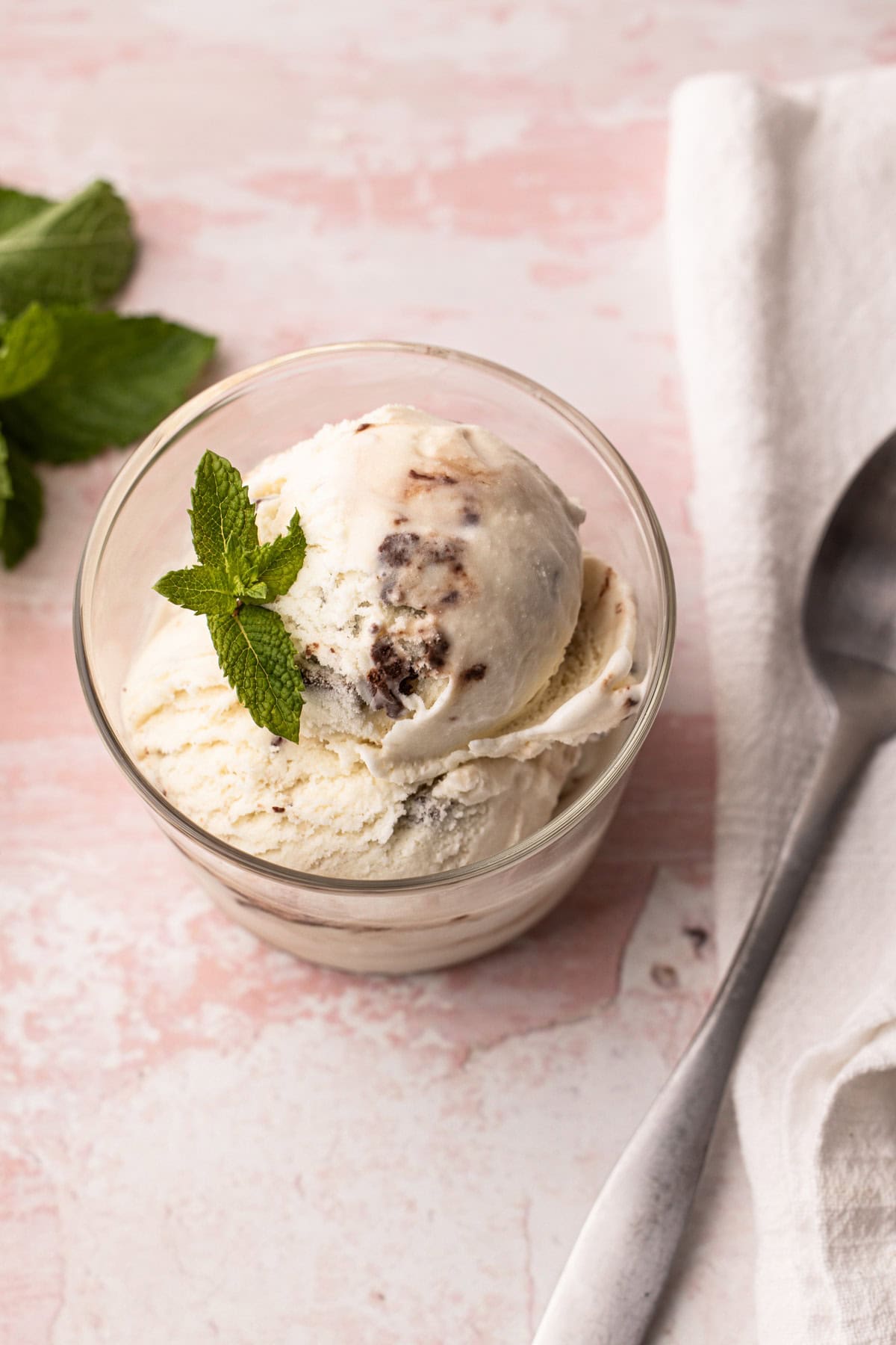A scoop of homemade mint chocolate chip ice cream in a bowl with a fresh mint leaf garnish.