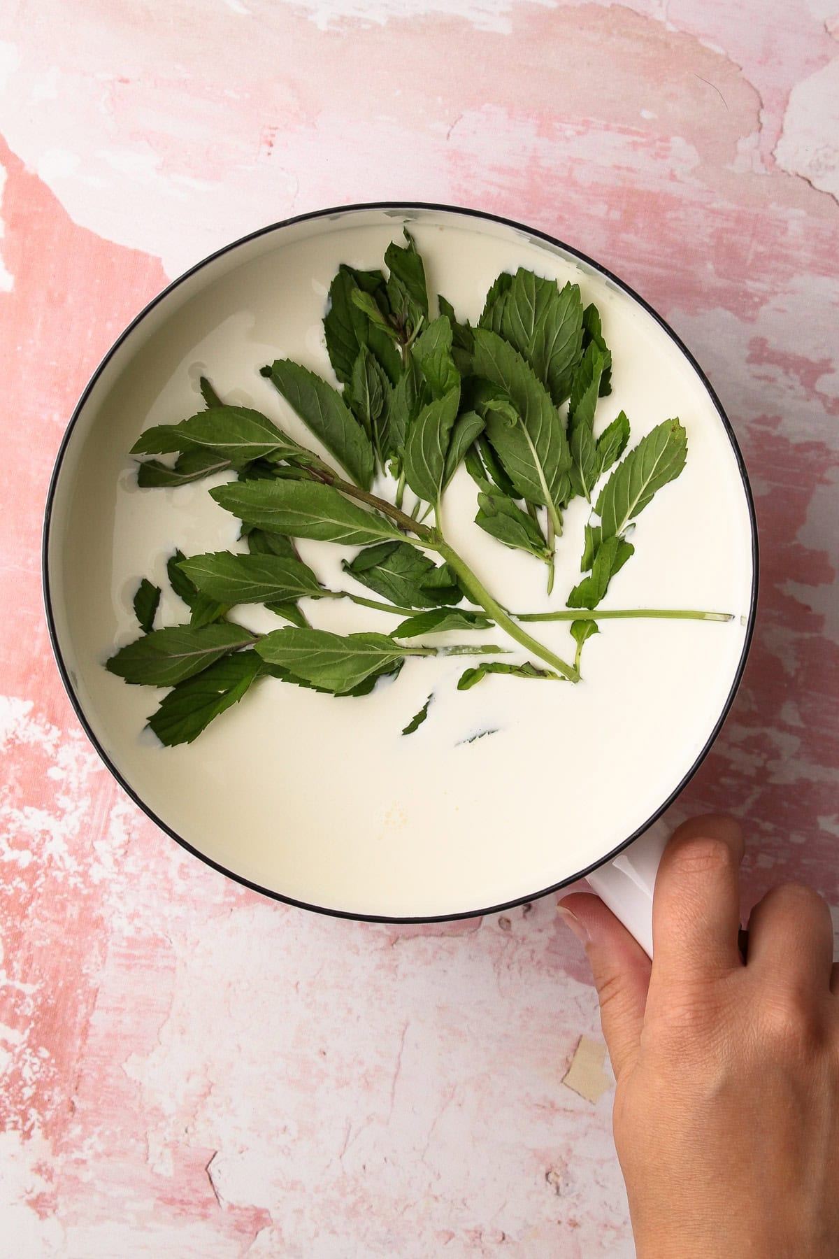 Fresh mint steeping in cream for homemade mint ice cream.