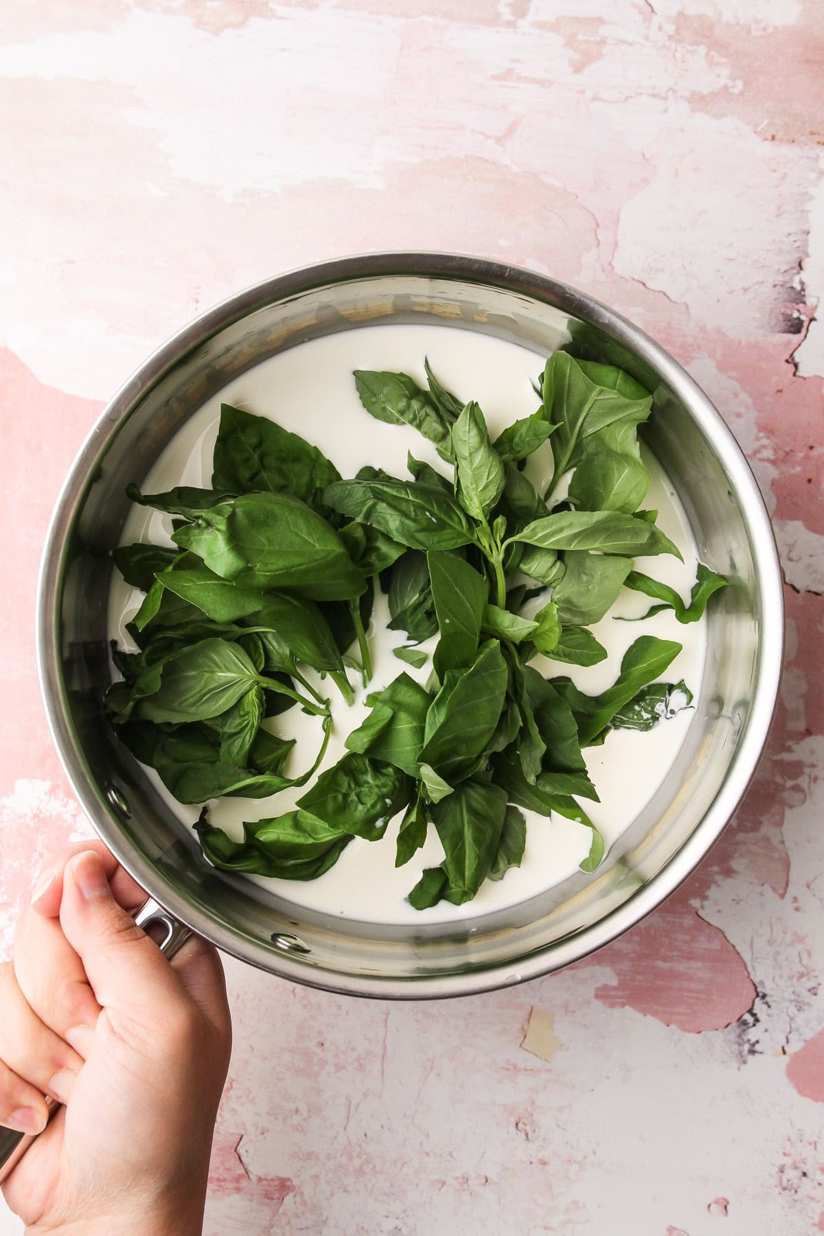 Fresh basil leaves steeping in a pot of milk.
