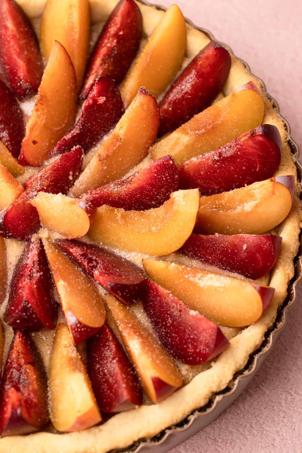 An assembled but unbaked plum tart with alternative colors of plums and a sprinkle of granulated sugar over the top.