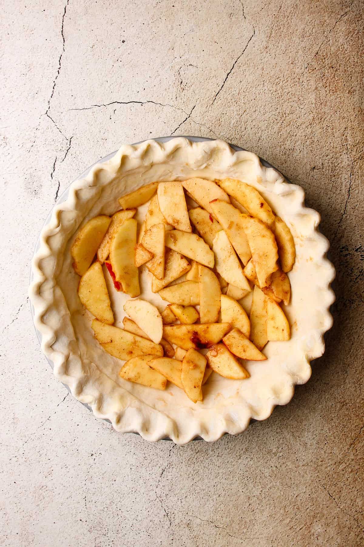 A prepared pie shell with a few layers of raw apple pie filling being neatly placed inside of it.